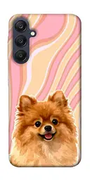 TPU чохол Demsky Pastel spitz для Samsung Galaxy A25 5G