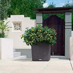 Вазон Lechuza Cube Cottage 40 пісочно-коричневий (15386) - мініатюра 7