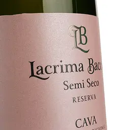Вино ігристе Lacrima Baccus Semi Seco Rose, рожеве, напівсухе, 11,5%, 0,75 л (641) - мініатюра 3
