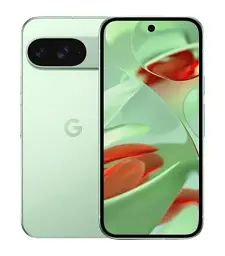 Смартфон Google Pixel 9 12/128GB Wintergreen (2940976243)
