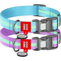 Нашийник для собак нейлоновий Waudog Nylon з QR паспортом, світлонакопичувальний/світловідбивний, пластиковий фастекс, Ш 25 мм