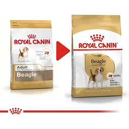Сухий корм для собак породи бігль Royal Canin 3 кг - мініатюра 2