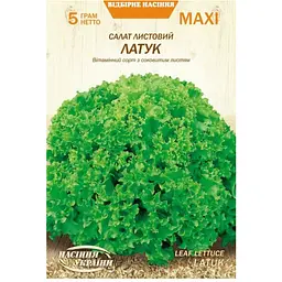 Салат Листовий Латук Насіння України Maxi 5 г