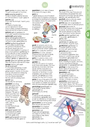 Illustrated English Dictionary (updated edition) - мініатюра 7