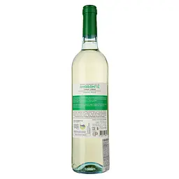 Вино Amarante Vinho Verde Doc Branco, біле, напівсухе, 11%, 0,75 л - мініатюра 2