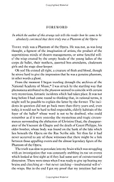 The Phantom of the Opera - мініатюра 8