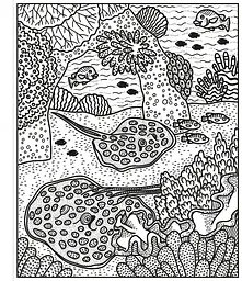 Розмальовка Coral Reef Magic Painting Book - Abigail Wheatley, англ. мова (9781474994743) - мініатюра 4