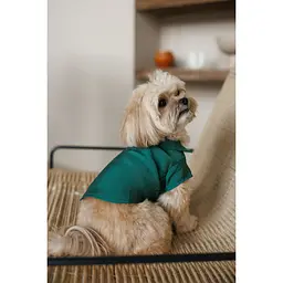 Сорочка Pet Fashion Seaman для собак S - мініатюра 7