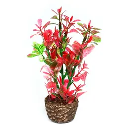 Штучна рослина Hobby Flora Stone 4 13 см (51533)