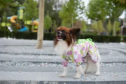 Комбінезон Smart Pet Florist - мініатюра 3