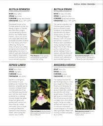 Grow Orchids. Essential Know-how and Expert Advice for Gardening Success - Andrew Mikolajski - мініатюра 9