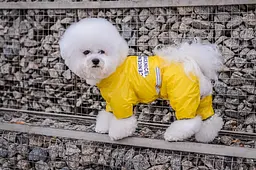 Комбінезон Smart Pet Limon - мініатюра 4