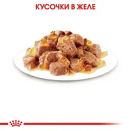Набір вологого корму для дорослих стерилізованих котів Royal Canin Sterilised in Jelly шматочки в желе 1.02 кг (12 шт. х 85 г) - мініатюра 4
