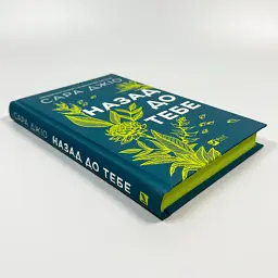 Назад до тебе - Джіо Сара | Vivat, книга українською, нова, тверда - мініатюра 2