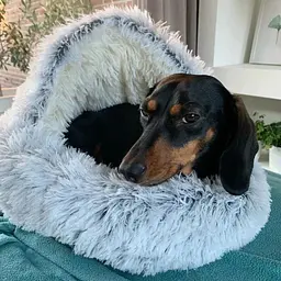 Плюшева лежанка Люпосанчик Green Plush Pet Bed для котів та собак d 120 см - мініатюра 3