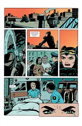 Catwoman (2002 3rd Series) #14 - мініатюра 2