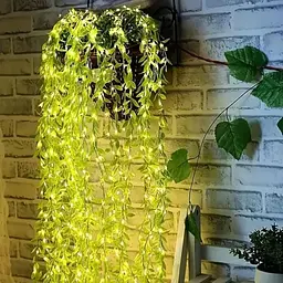 Гірлянда Роса з LED-підсвічуванням Зелена Верба ​​2, Тепле світло SF-56