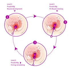 Набір вагінальних кульок Foxshow Kegel Balls Set, 3 шт., фіолетовий - мініатюра 14
