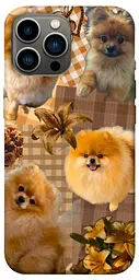 TPU чохол Demsky Spitz aethtetic для Apple iPhone 12 Pro Max (6.7")