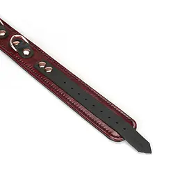 Нашийник з повідцем Liebe Seele Wine Red Collar and Leash - мініатюра 6