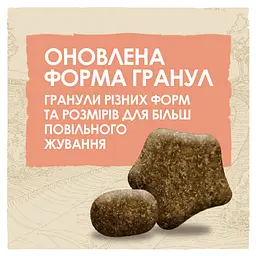 Сухий корм для собак з підвищеною активністю Dog Chow Active Adult 1+, з куркою, 2,5 кг - мініатюра 5