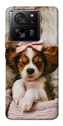 TPU чохол Demsky Sleepy spaniel для Xiaomi 13T