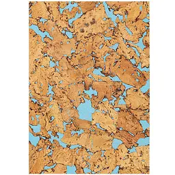 Фон з корка Repti-Zoo Cork Wood Background 20x30 см (NCB2030) для тераріуму