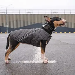Жилет Pet Fashion E.Vest для собак, розмір SM, сірий - мініатюра 6