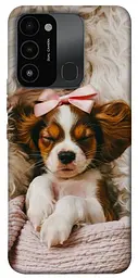 TPU чохол Demsky Sleepy spaniel для Tecno Spark Go 2022 (KG5m)