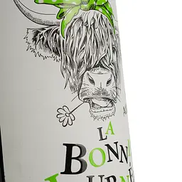 Вино La Bonne Journee Sauvignon Blanc IGP Atlantique біле сухе 0.75 л - мініатюра 3