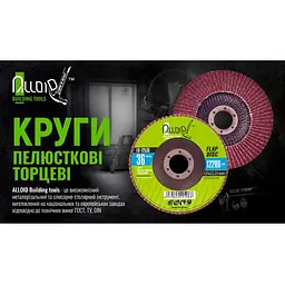 Коло шліфувальний пелюсткове торцеве 125 мм зерно 100 T27 (FD-125100) - мініатюра 3
