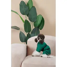 Комбінезон Pet Fashion EGO ХS2 зелений для собак - мініатюра 9