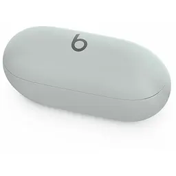Навушники Beats by Dr. Dre Solo Buds Storm Gray (MUVY3) - мініатюра 3