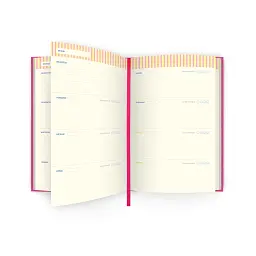 Мініпланер Orner "WITHOUT PLAN mini" рожевий - мініатюра 2