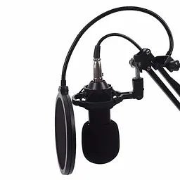 Конденсаторний студійний мікрофон RIAS M-800 Pro-MIC зі стійкою і вітрозахистом Black-Gold (4_00352) - мініатюра 3