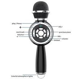 Караоке Мікрофон-колонка DS810 Black - мініатюра 3