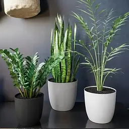 Горщик для квітів Form-Plastic Turo Eco білий 1.4 л (5520-011) - мініатюра 2