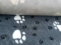 Килимок Jackson Textiles Big Paws grey 80х100 см (JT-022) - мініатюра 5