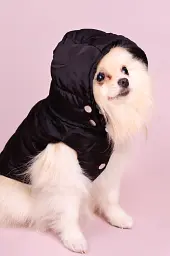 Жилетка Prada зі знімним капюшоном M - мініатюра 2