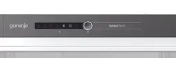 Вбудована шафа хололодильна Gorenje RI2181A1 біла (RI2181A1) - мініатюра 3