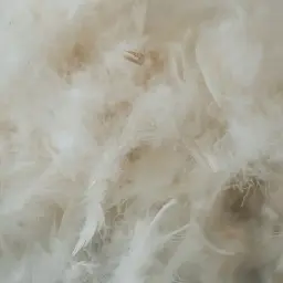 Подушка пухова MirSon Raffaello White 201 середня 60х60 см (2200000060556) - мініатюра 14