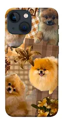 TPU чохол Demsky Spitz aethtetic для Apple iPhone 13 mini (5.4")