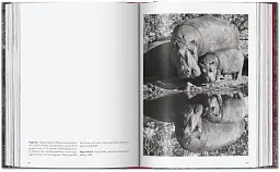 Sebastiao Salgado. Genesis. 45th Edition - мініатюра 15