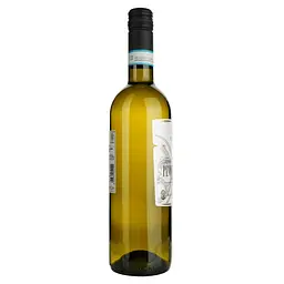 Вино Fidora Pinot Grigio Organic Venezia DOC, біле, напівсухе, 0,75 л - мініатюра 3
