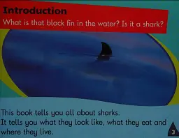 Oxford Reading Tree. Level 5: More Fireflies A. Sharks - мініатюра 2