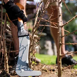 Великий сікач для сучків Fiskars WoodXpert XA3 126005 (1003621) - мініатюра 5
