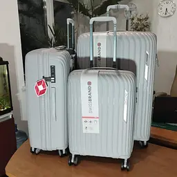 Валіза Swissbrand Narberth S Grey (SWB_LHNAR801S) - мініатюра 3