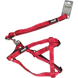 Шлея з повідцем для собак AnimAll Red, 33-50х1,5/120 см - мініатюра 2