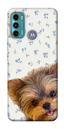 TPU чохол Demsky Cute Yorkie для Motorola Moto G60