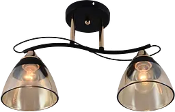 Люстра декоративна V XA1248B/2 Gold+Black на 2 плафонів